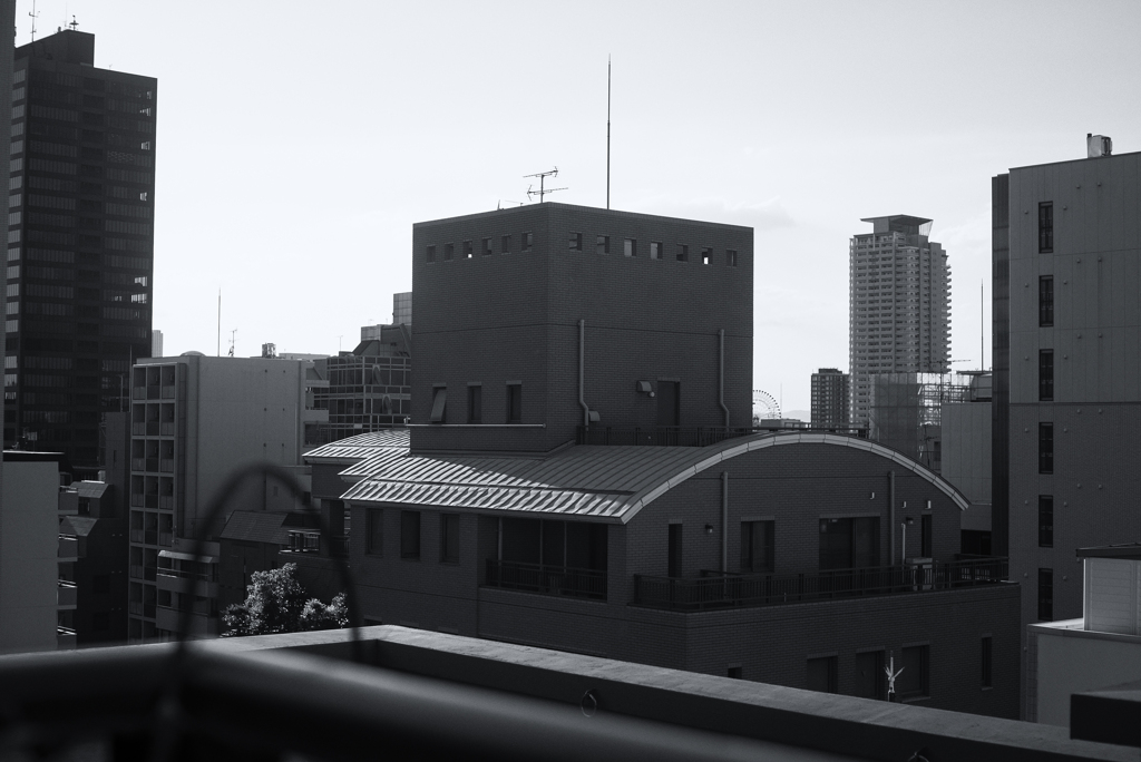 階調とテクスチャに満ちた世界