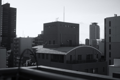 階調とテクスチャに満ちた世界