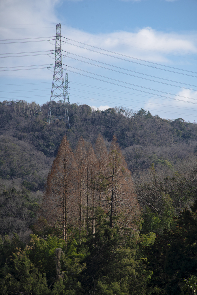 TAMRON SP 70-210mm F/3.5-4. 52A