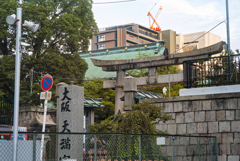 込み入った風景