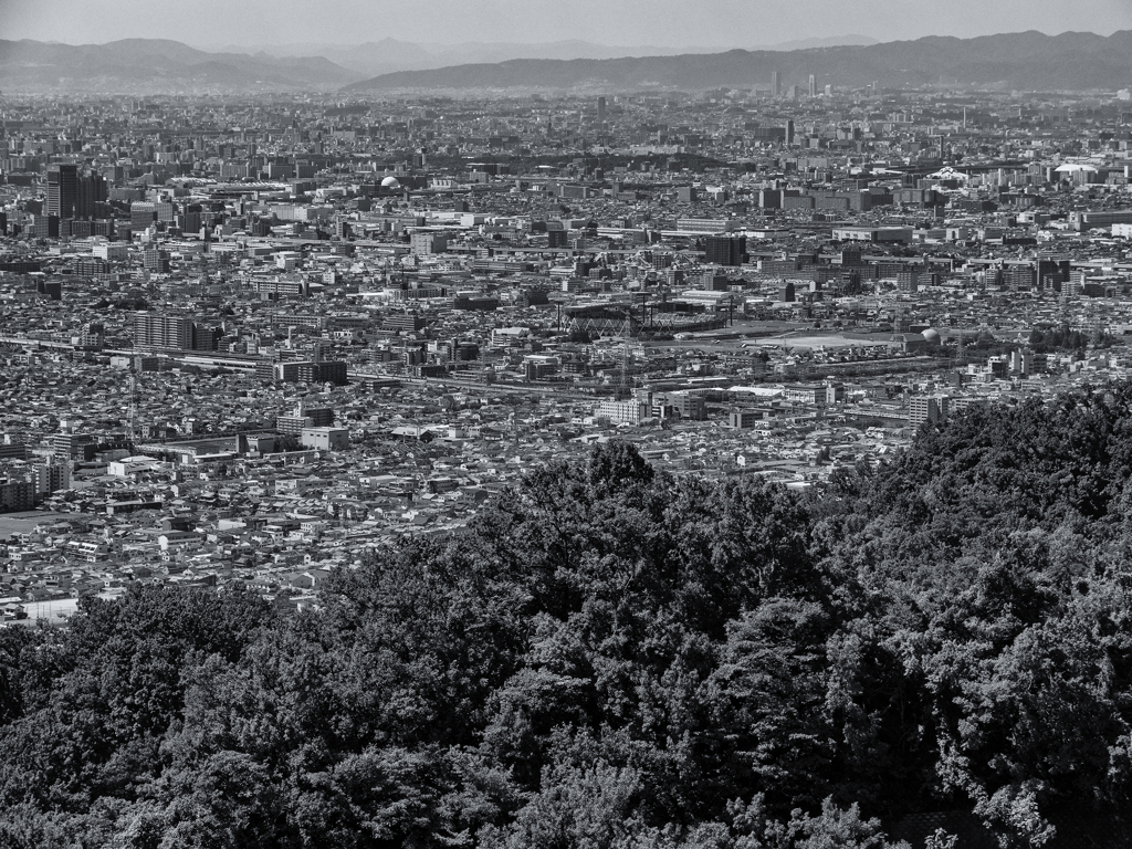 大阪平野