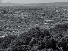 大阪平野