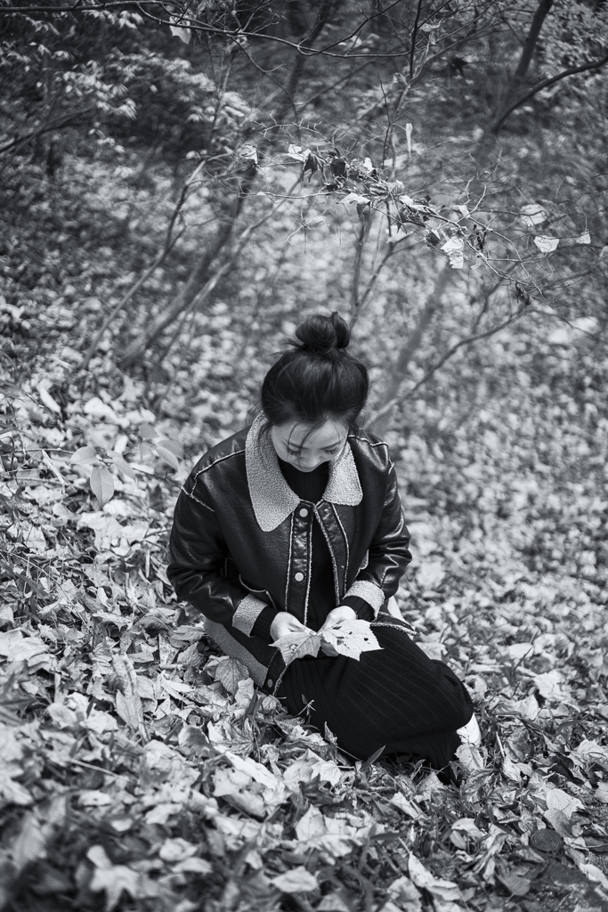 fall leaves