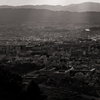 PANONARA BW