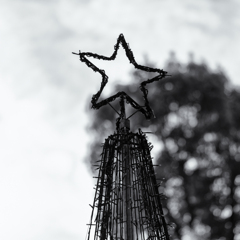 flagments