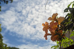 熊野の空