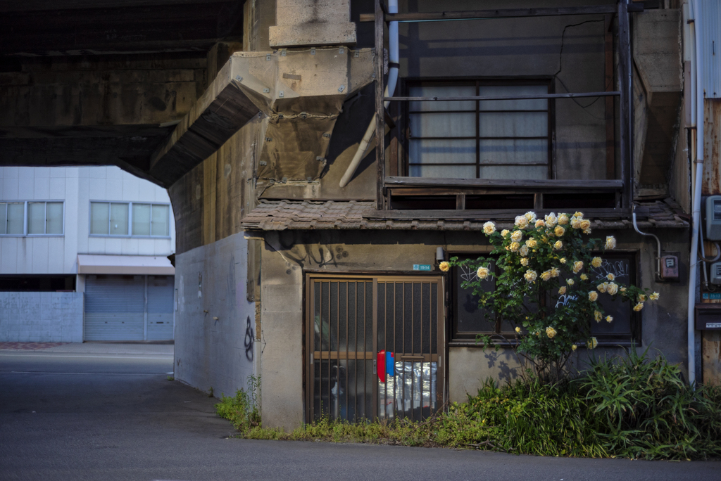 花のある暮らし