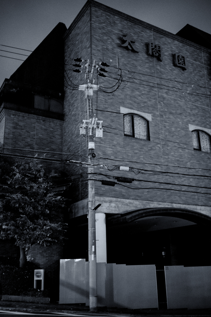 新鮮な廃墟