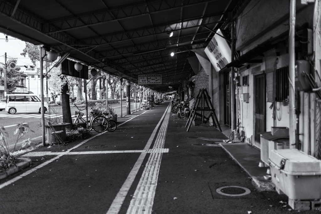 wakayama statics