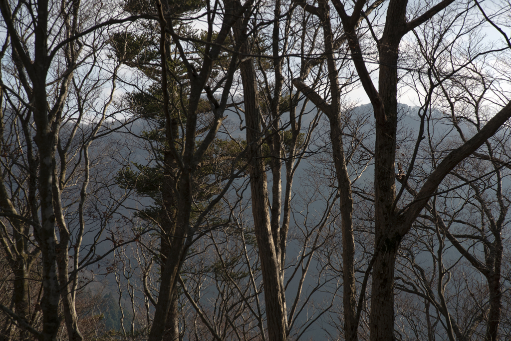 Direction of The KUMANO