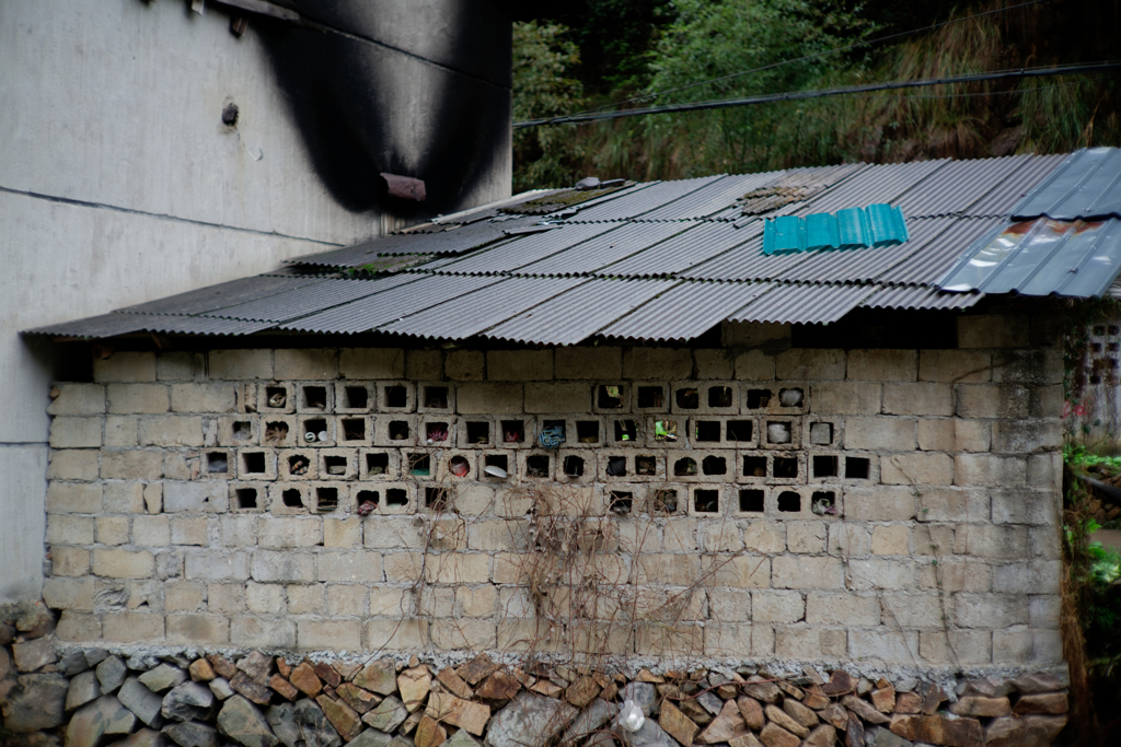 オルタネイティブな風景