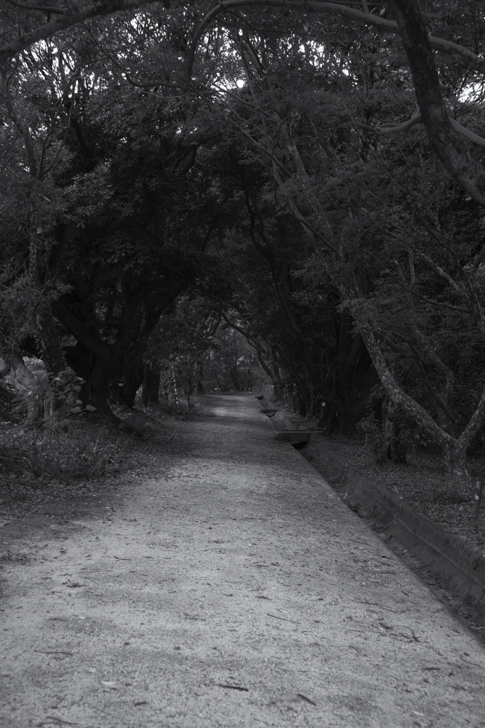 バイバイライカムラ