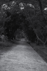 バイバイライカムラ