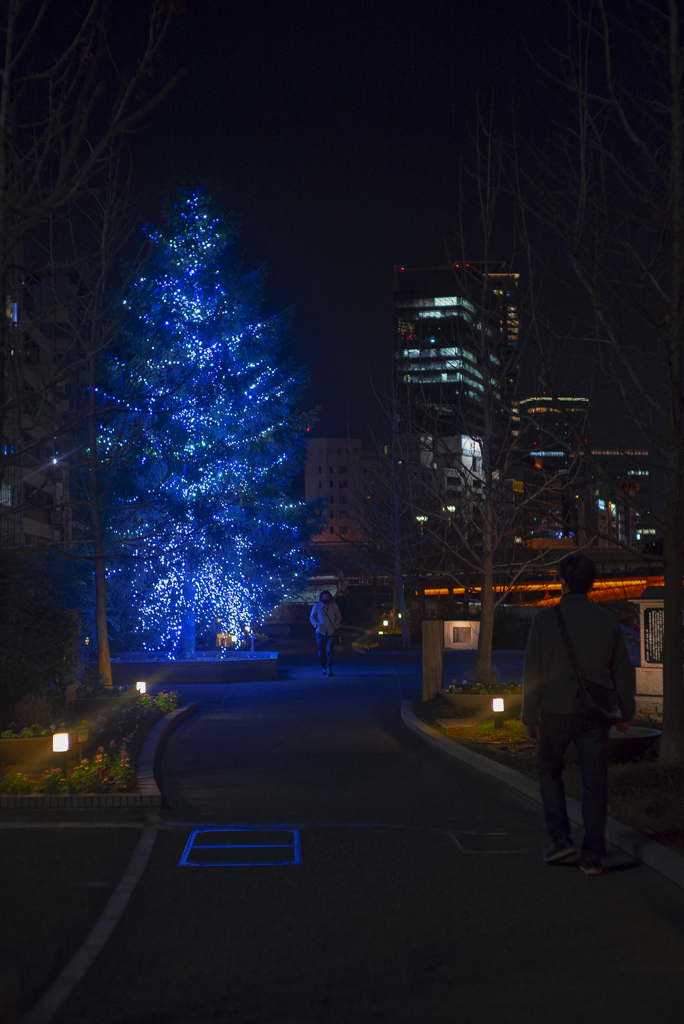 夜に関する覚書