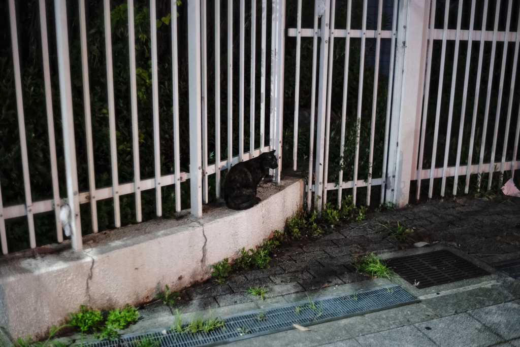 Nekosm
