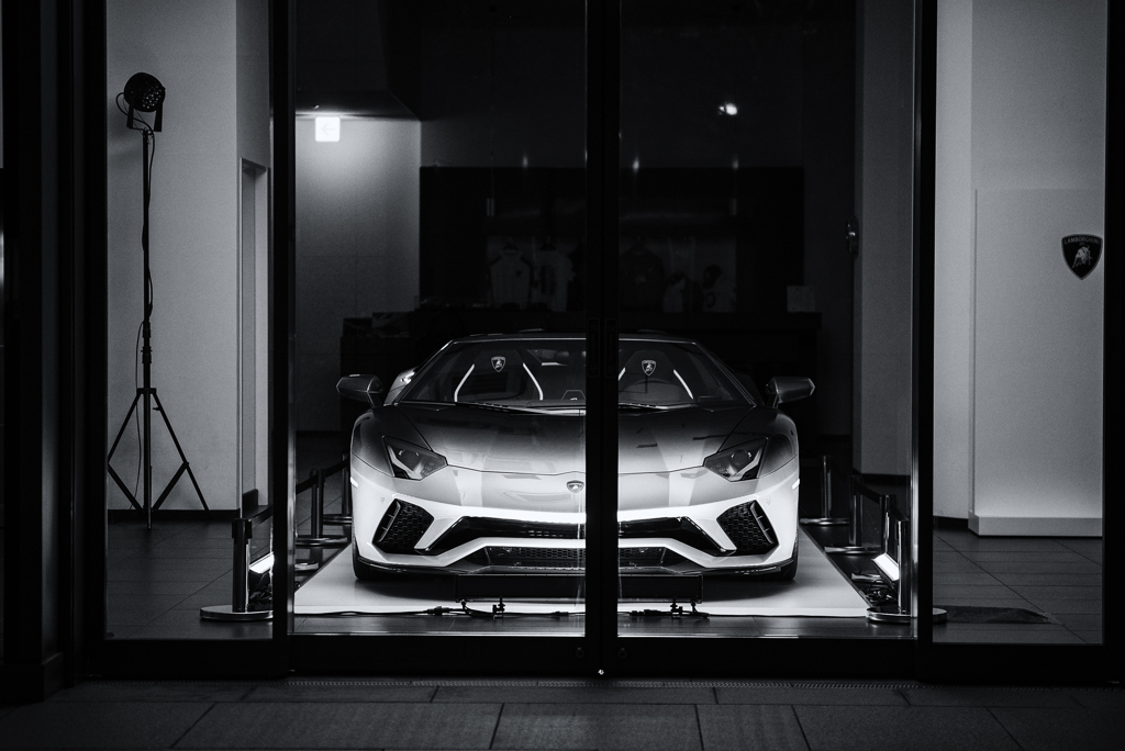 monochrome statics