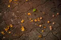 Crash