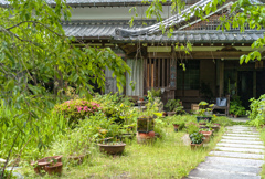 Passing anniversary -- on the garden