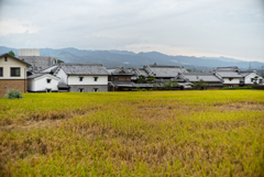 非観光的価値観