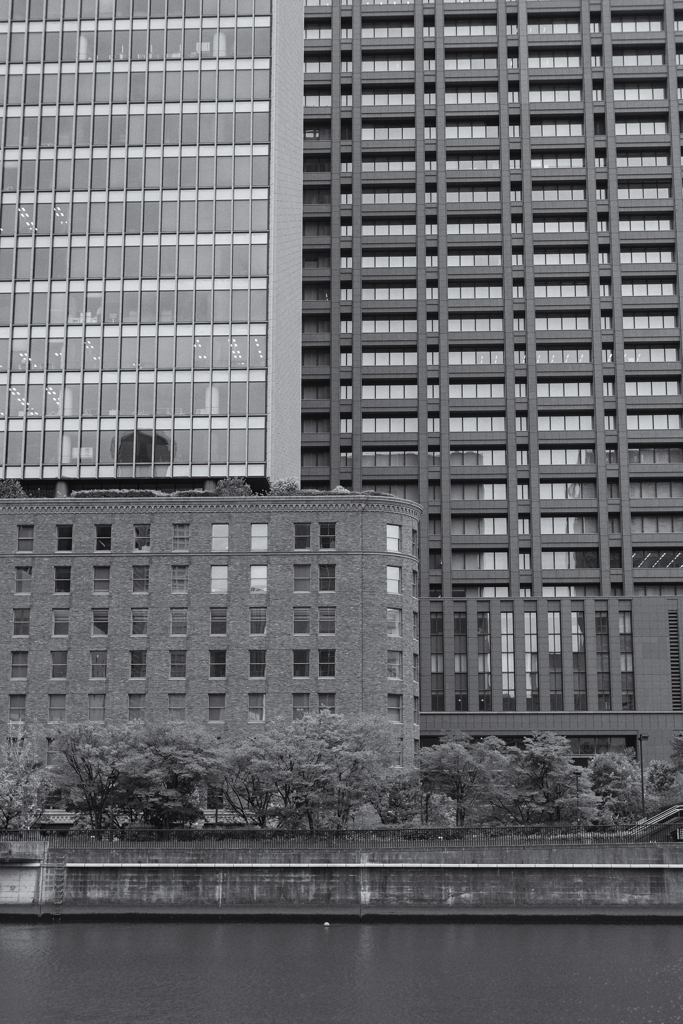 風景を遮る醜い壁の数々