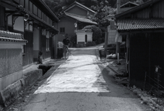 C Biogon T* 2.8/35 ZM