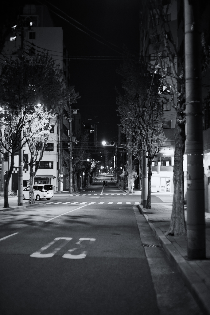This Road from "KUMANO"