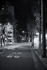 This Road from "KUMANO"