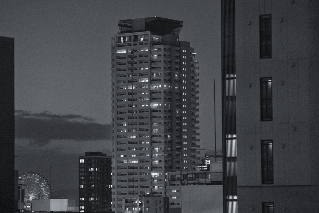 α7S X ISO32000 X TAMRON 30A(200mm : F/4)
