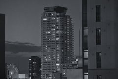 α7S X ISO32000 X TAMRON 30A(200mm : F/4)