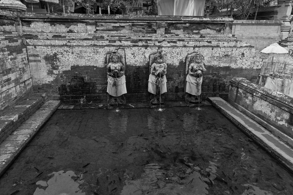 モノクロ専用機の真打