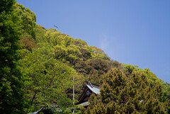 オルタネイティブな風景