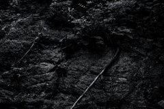 a surface