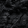 a surface