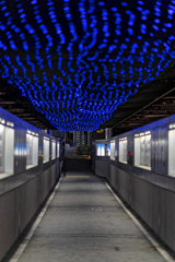 sapphire and coolgray