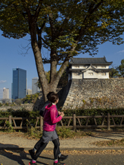コンサバティブな風景