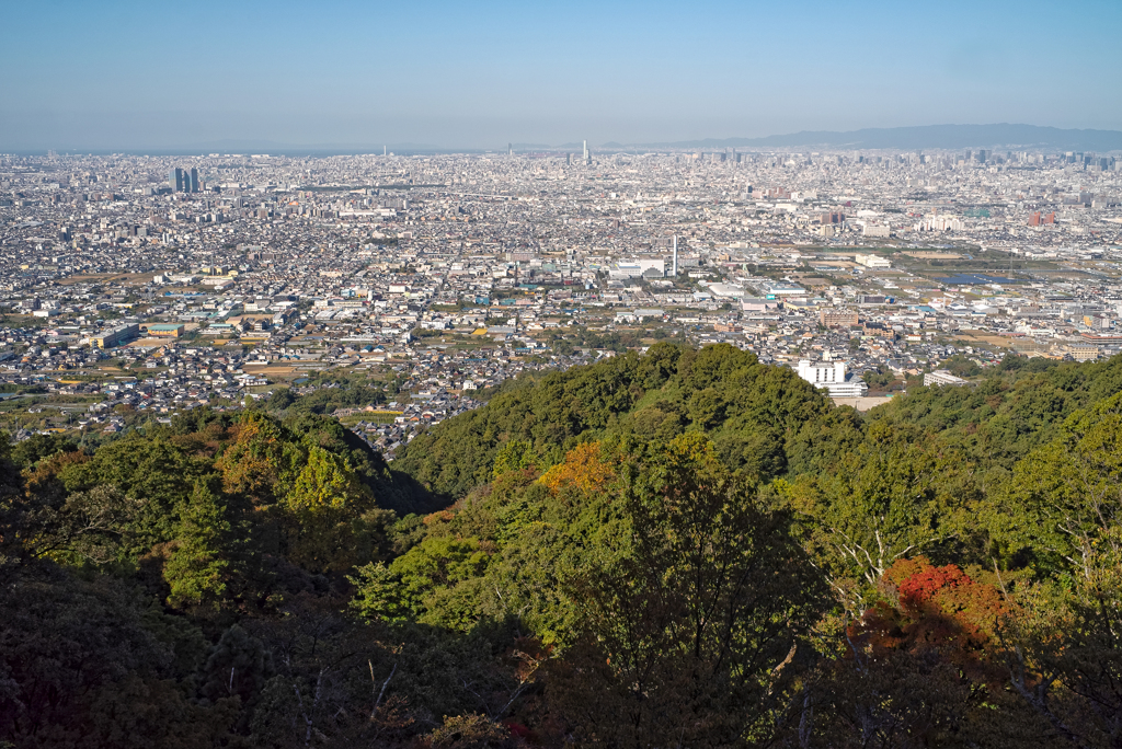 順光の大阪平野・ランドスケープ