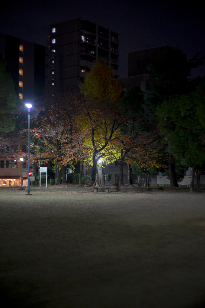 a unkowns park's night