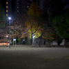 a unkowns park's night