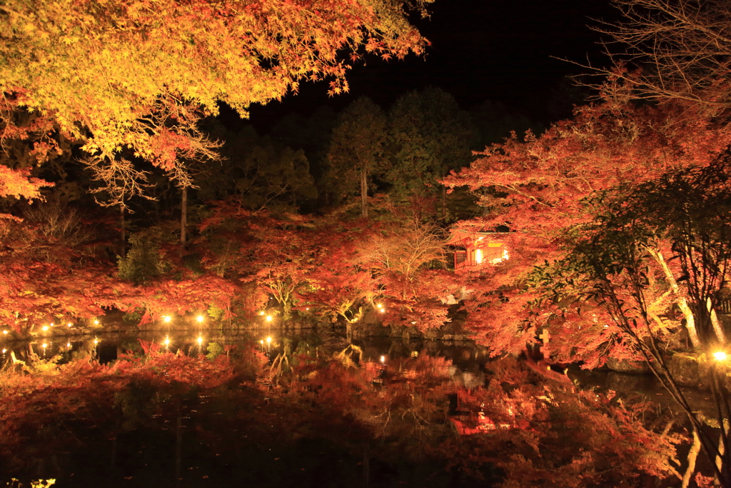 醍醐寺
