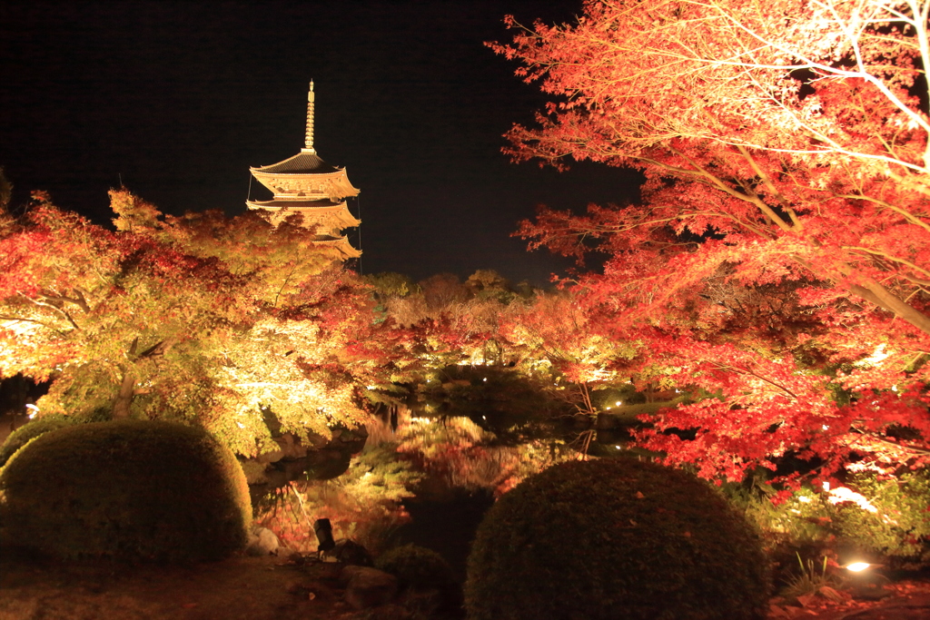 東寺