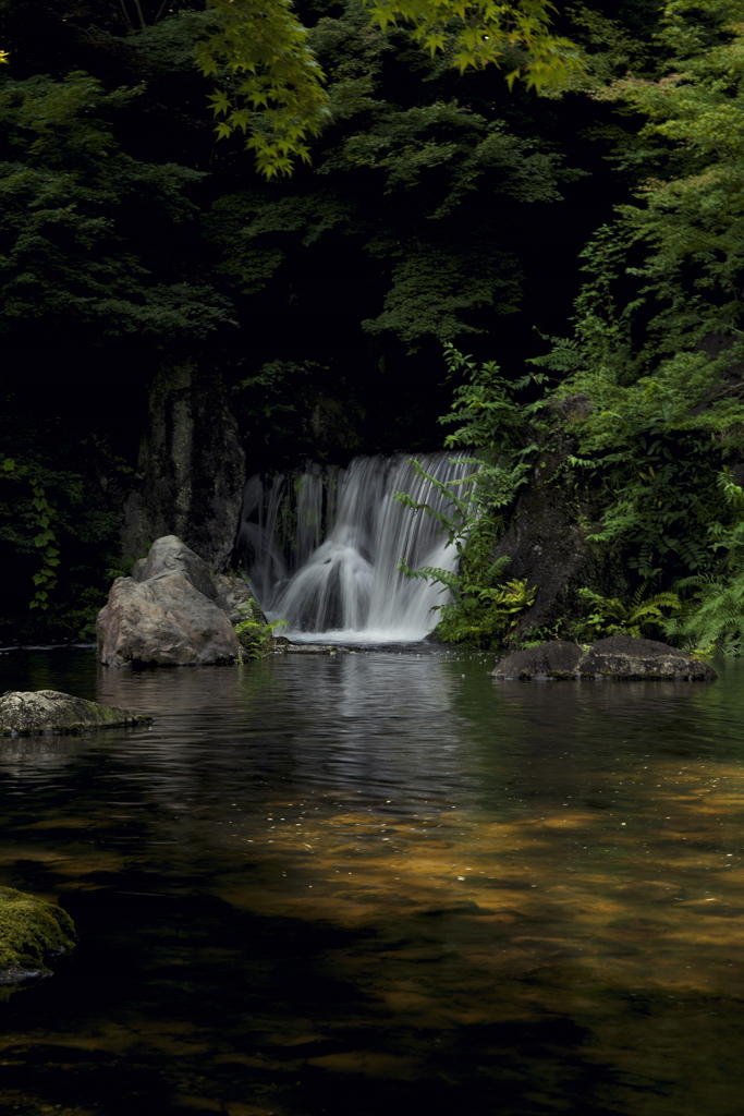こもれびの滝