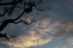 夕焼け