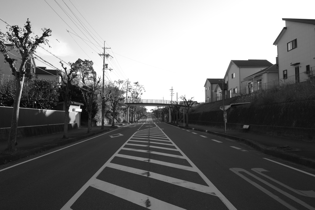 道路