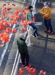 ボーイズトーク