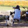 猫目線で
