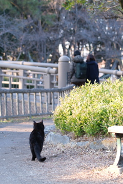 ほっこりするにゃ