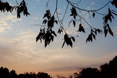 夕焼けお助けマン