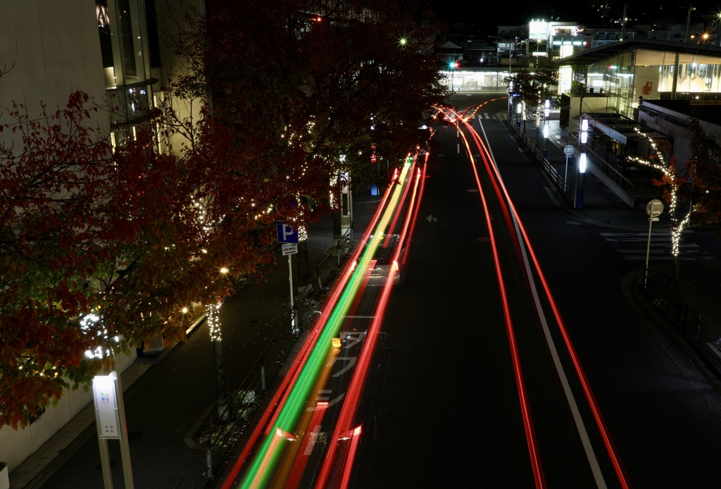 歩道橋でお遊び