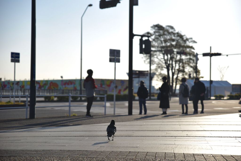 横浜