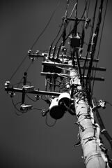 電柱